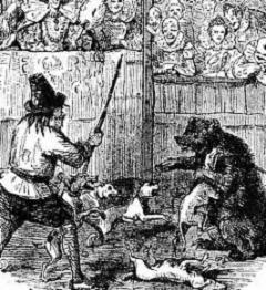 What is Bear-Baiting and How Did it Originate