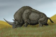 elasmotherium lived during the ice age