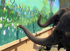 elephants are intelligent and can paint