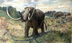 mastodon from the ice age