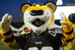 tiger mascot