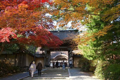 How many people live in Japan