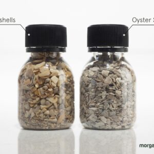 are calcium supplements made from oyster shells better than other types