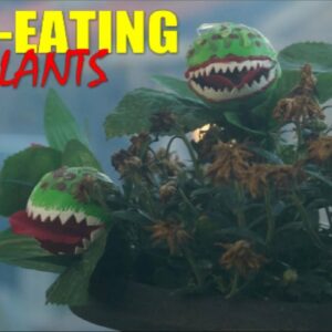 are there any carnivorous plants that eat animals like in the little shop of horrors