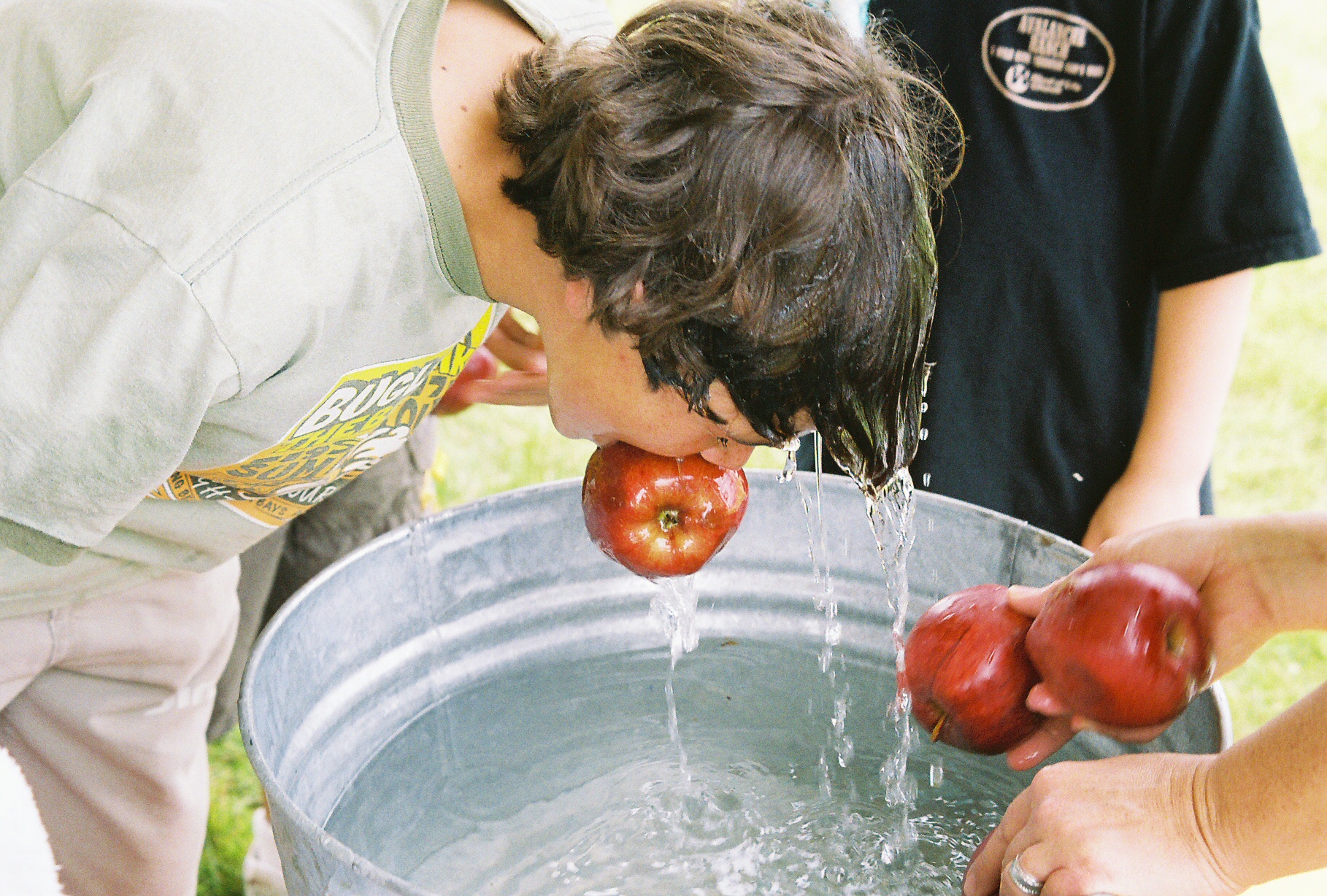 do all apples float in water and are there certain types of apples used for bobbing on halloween