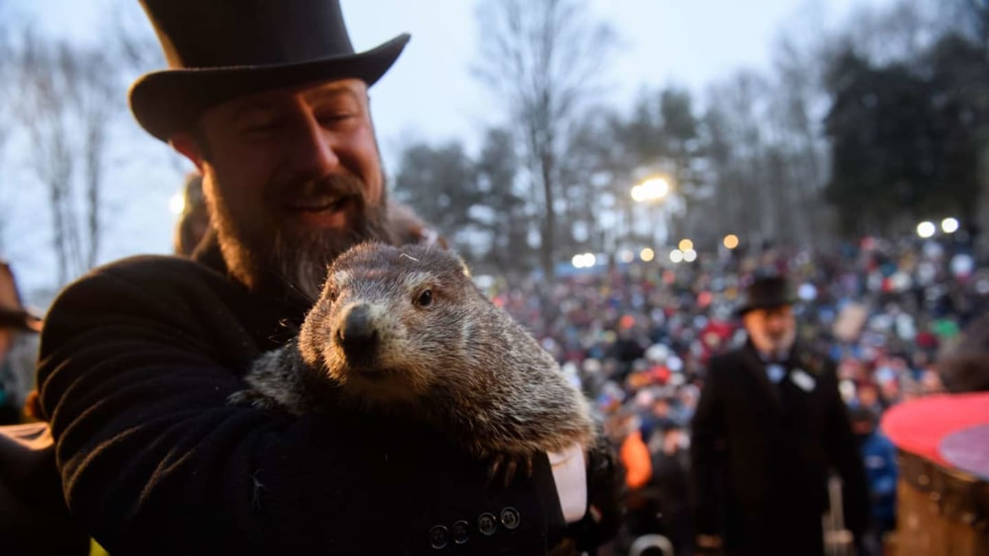 how accurate is the groundhog day forecast and where did the holiday come from