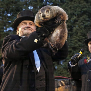 how accurate is the official groundhog punxsutawney phil on groundhog day