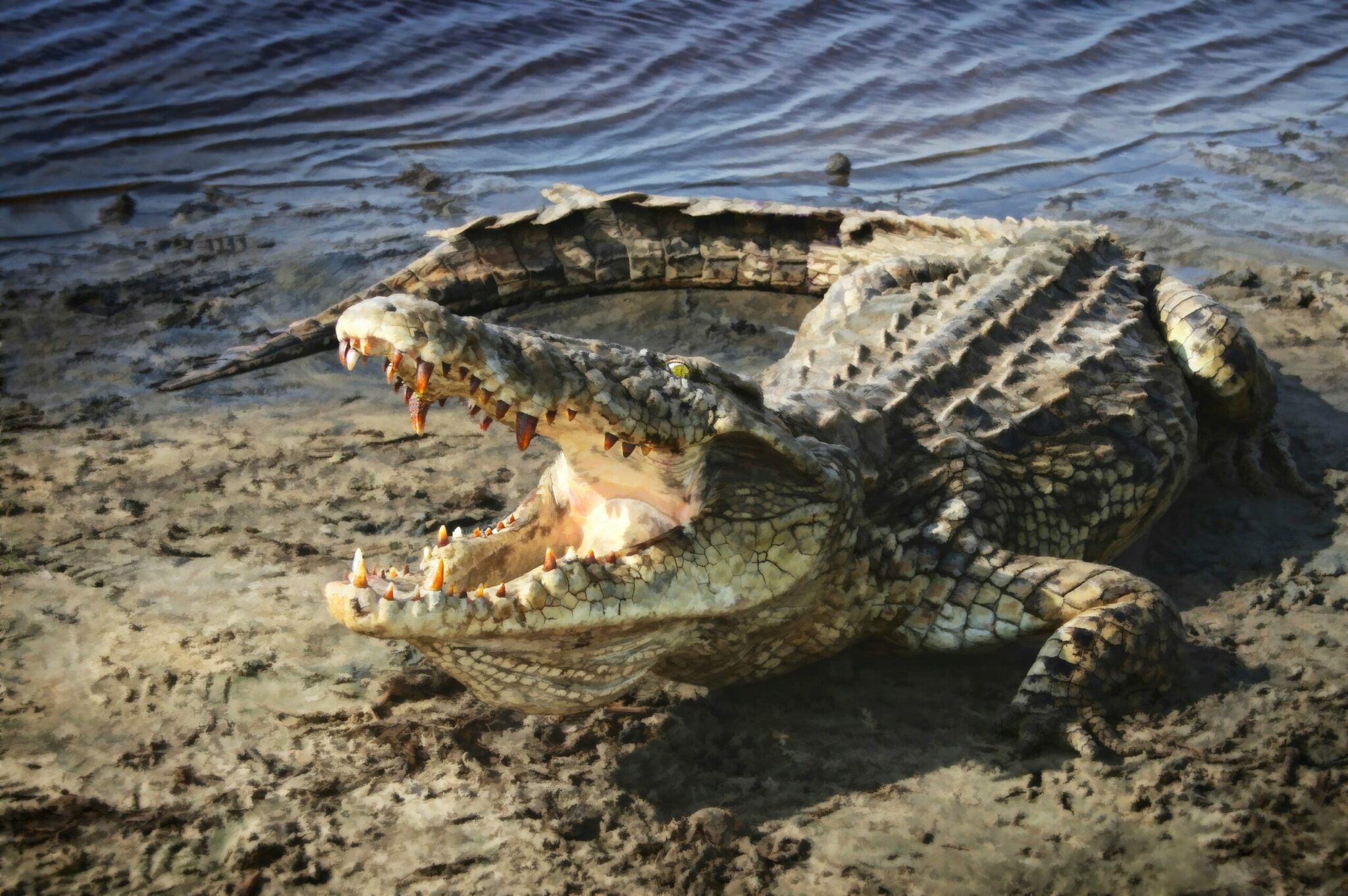 how big is an alligators brain scaled