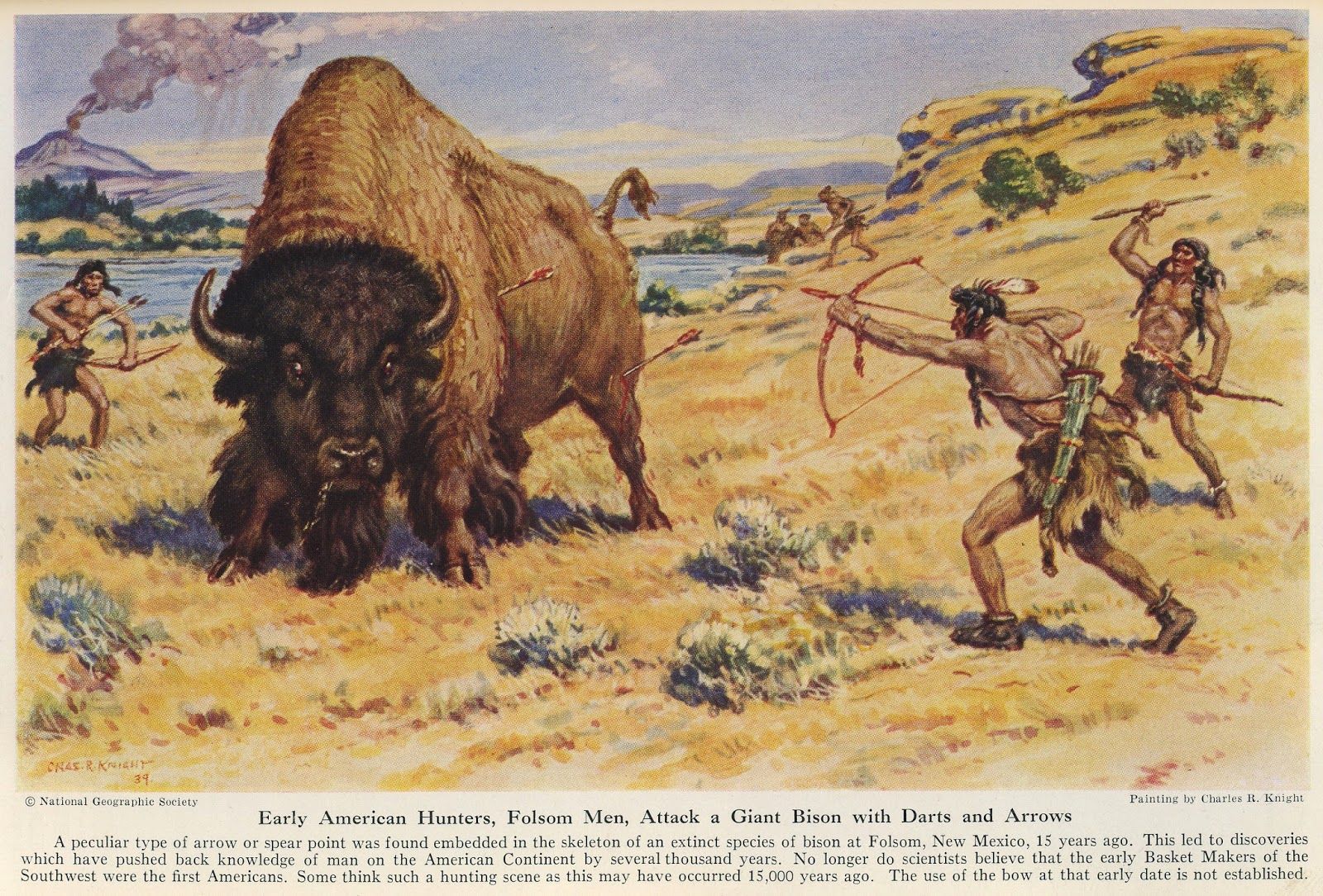 how did ancient hunters hunt bison