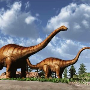 how did dinosaurs sleep and did prehistoric dinosaurs sleep standing up or lying down