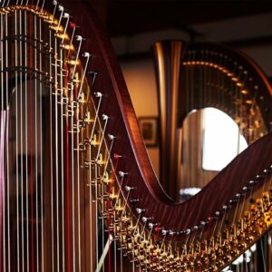 how did harpo marx learn to play the harp