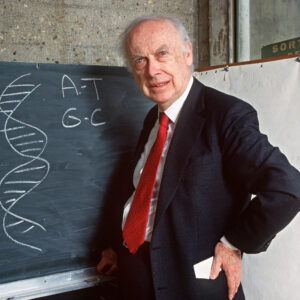 how did james watson and francis crick determine the structure of dna and how genetic information is stored