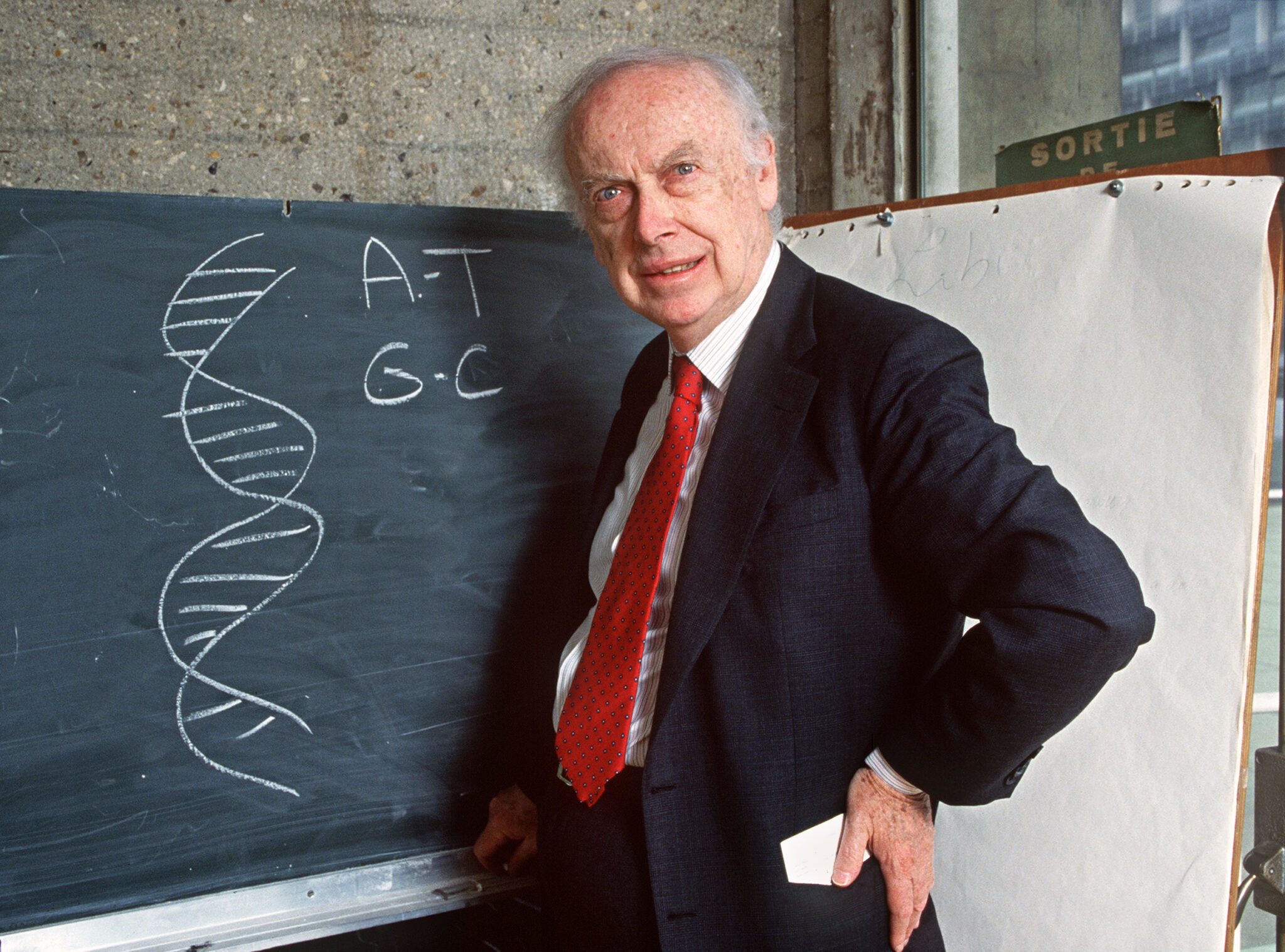 how did james watson and francis crick determine the structure of dna and how genetic information is stored