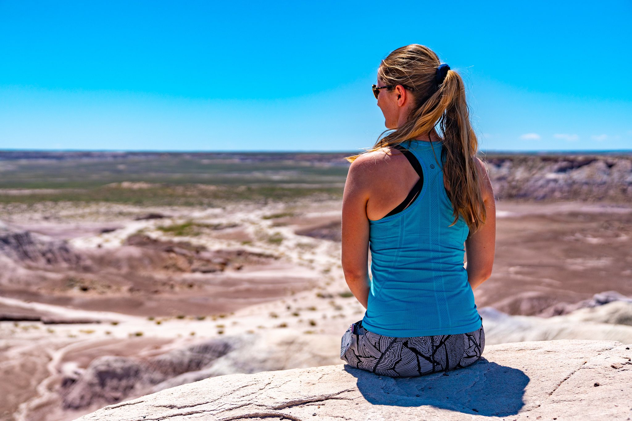 how did petrified forest national park in northeastern arizona form and how did it get its name