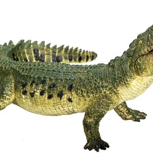 how did the crocodile get its name and what does it mean in greek