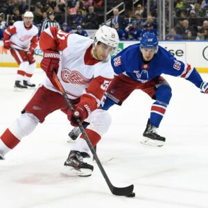 how did the new york rangers and detroit red wings get their names and what do they mean scaled