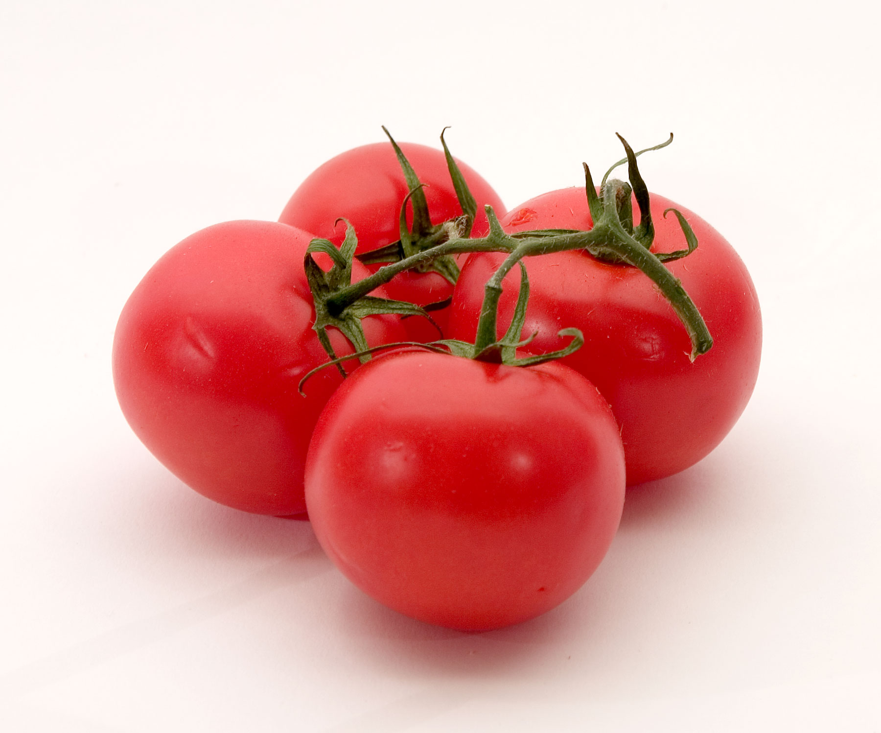 how did the tomato get its name and where does the word tomato come from