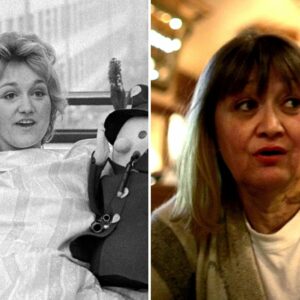how did vesna vulovic fall 31000 feet out of the sky and survive