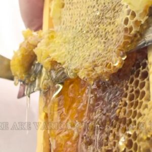 how do beekeepers extract honey out of a honeycomb and where does honey come from
