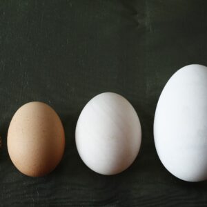 how do egg producers sort eggs into jumbo large and medium sizes scaled