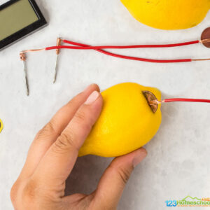 how do fruit powered clocks work using lemons and oranges as batteries