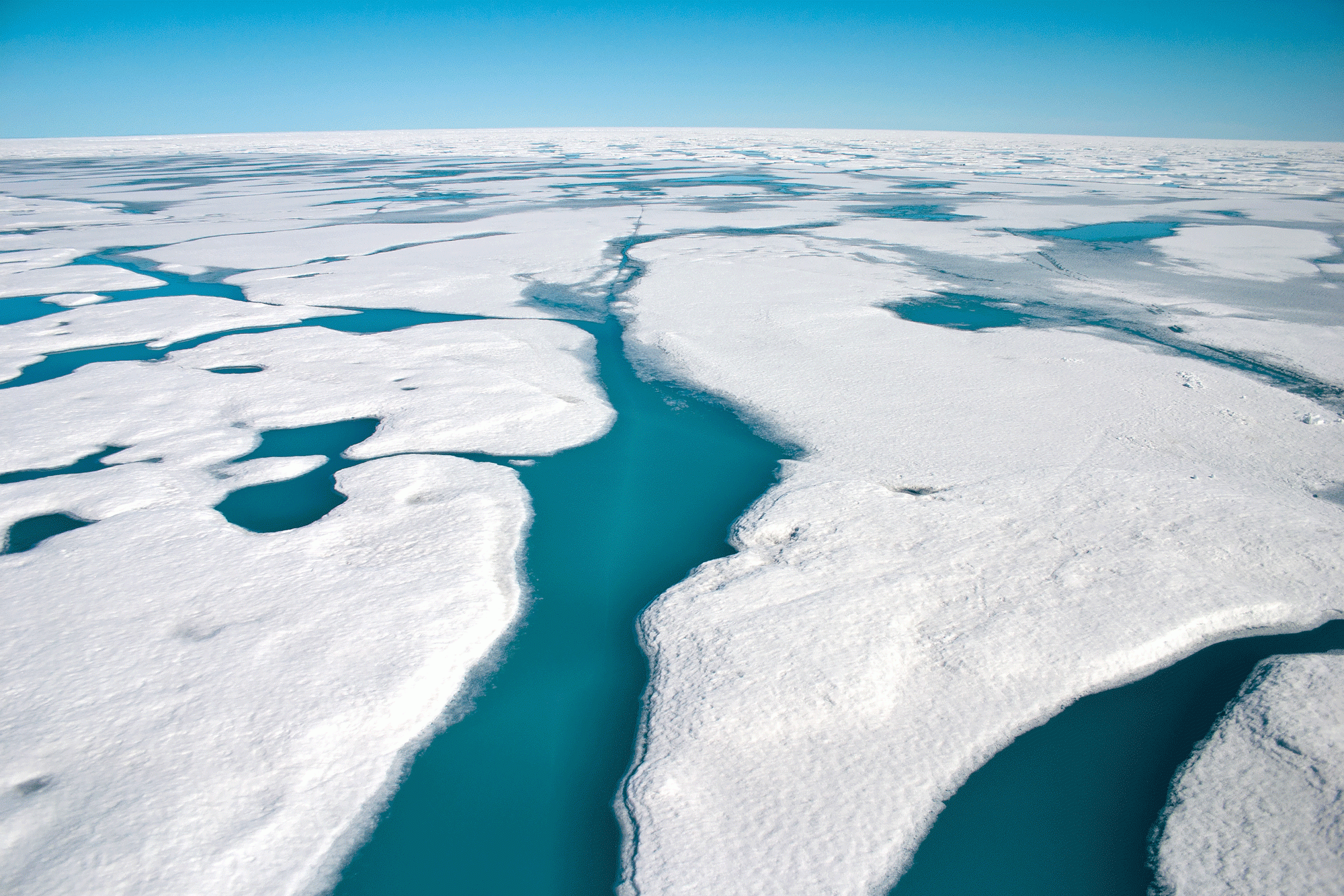 how do modern inuit hunt for food and are the natives of the arctic and subarctic still hunters