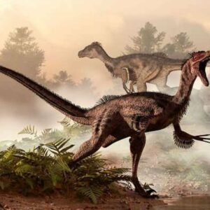 how do paleontologists know what a particular species of dinosaur ate during the mesozoic era