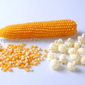 how do popcorn kernels pop and what type of corn kernel is it