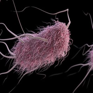 how does e coli o157h7 spread in day care centers and how is infection prevented