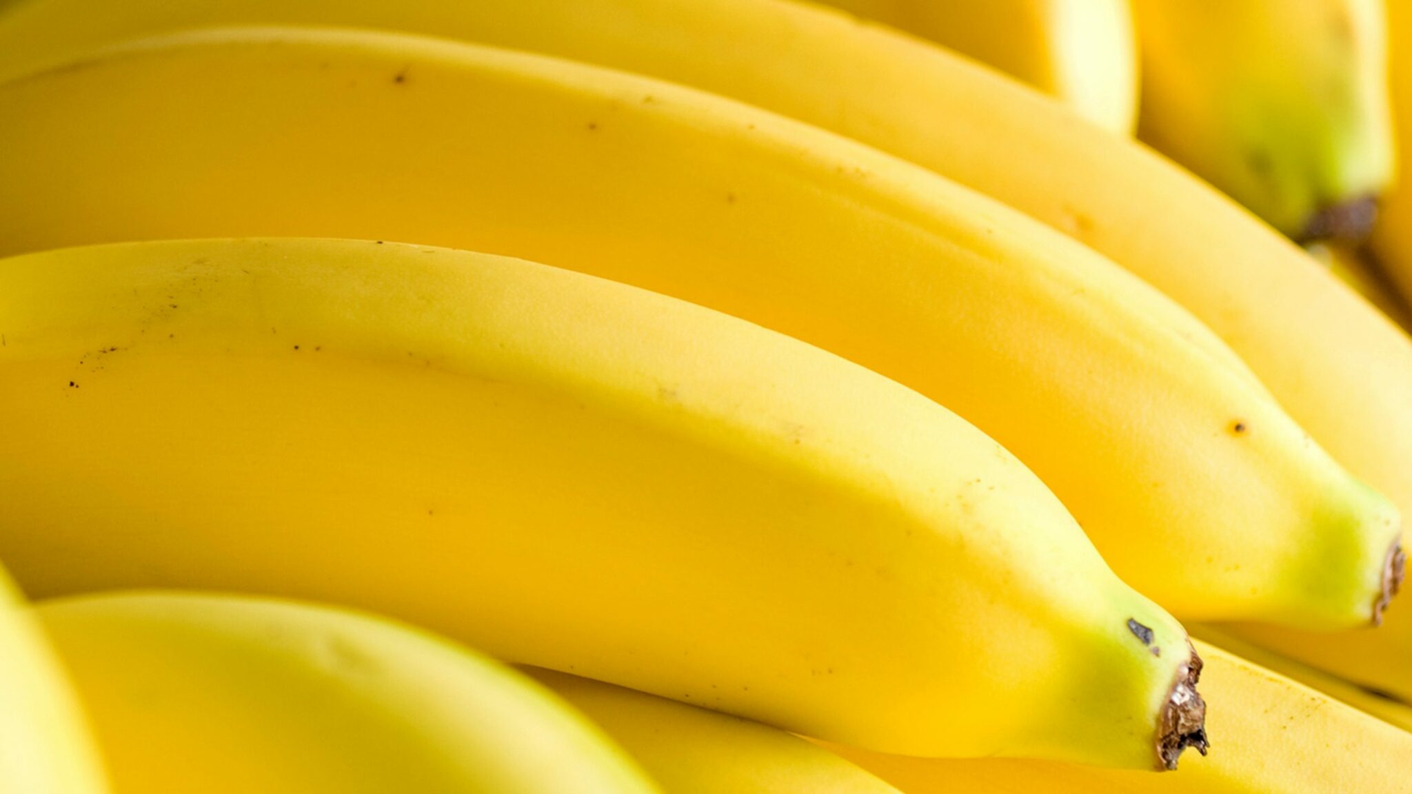 how does temperature affect ripening bananas