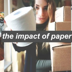 how environmentally friendly are dyes and bleaches used in toilet paper and paper towels and why