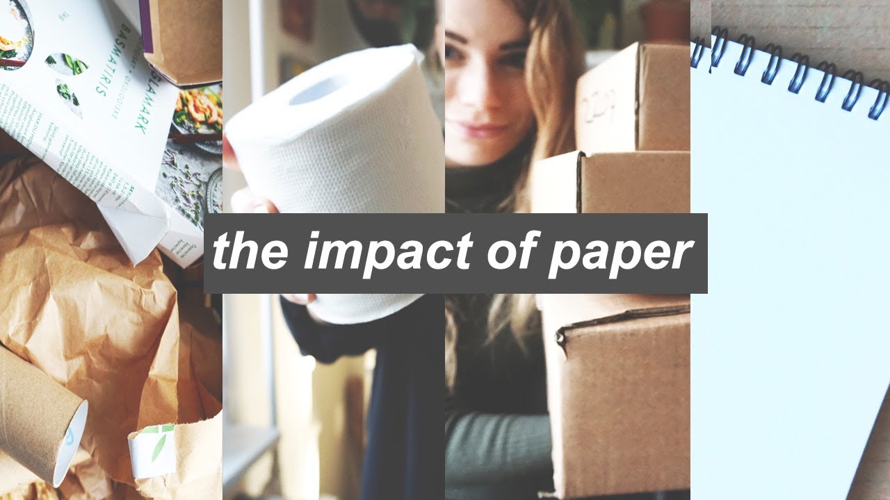 how environmentally friendly are dyes and bleaches used in toilet paper and paper towels and why