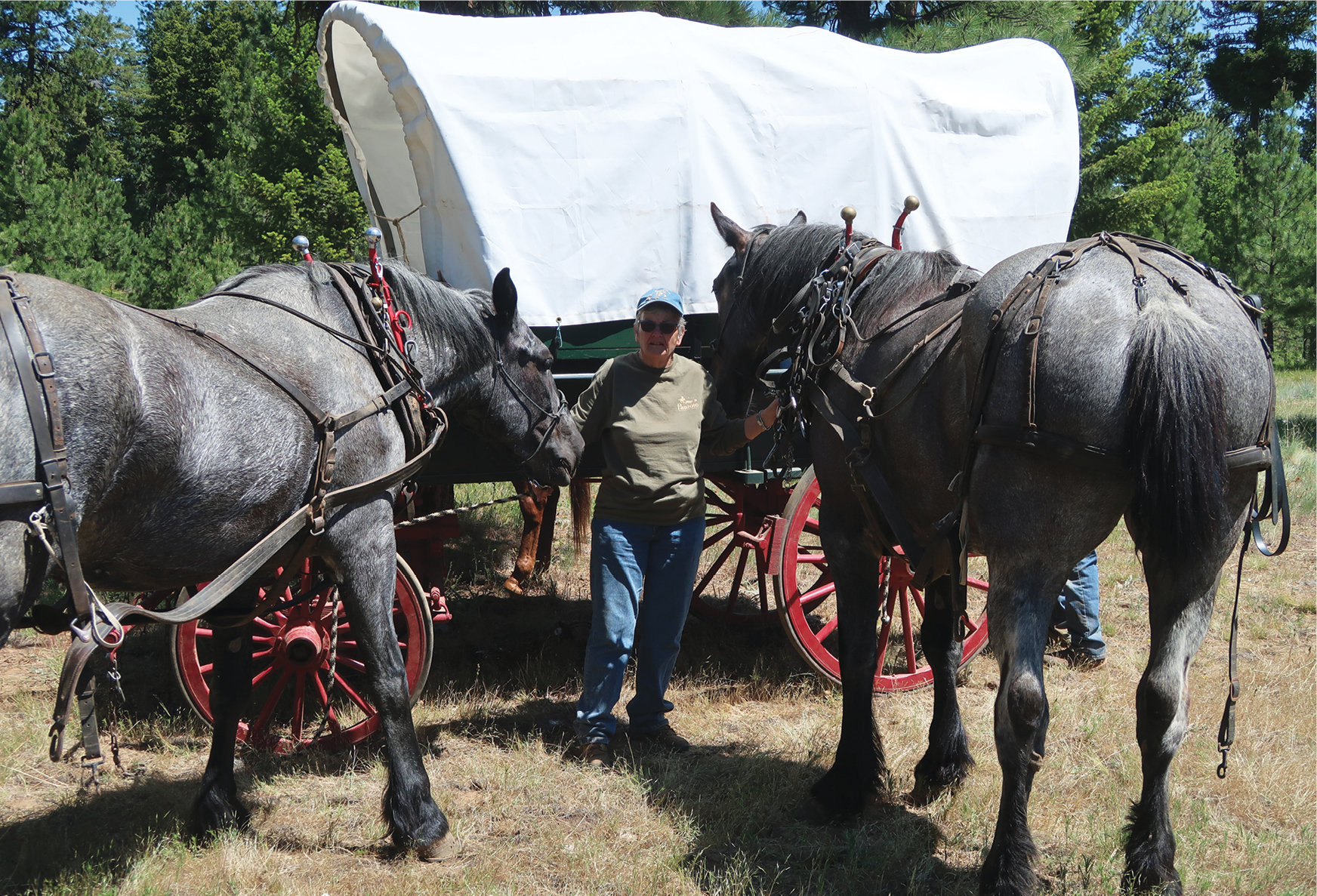 how fast could covered wagon trains travel in the old west
