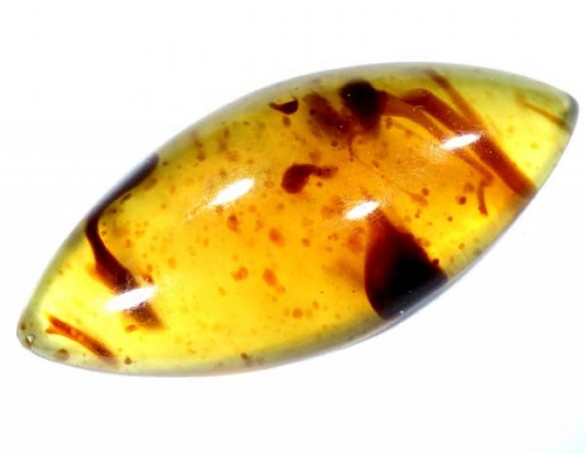 how is amber formed