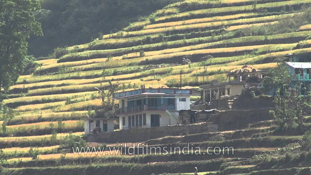 how is terrace farming used to build farms on hills