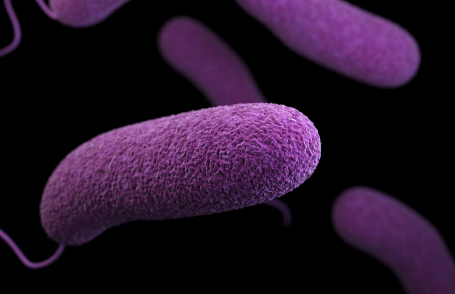 how many different species of bacteria parasites and microorganisms live in or on the human body