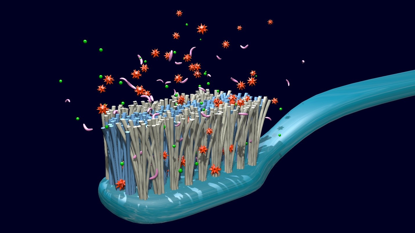 how many different types of germs bacteria and viruses live on a toothbrush