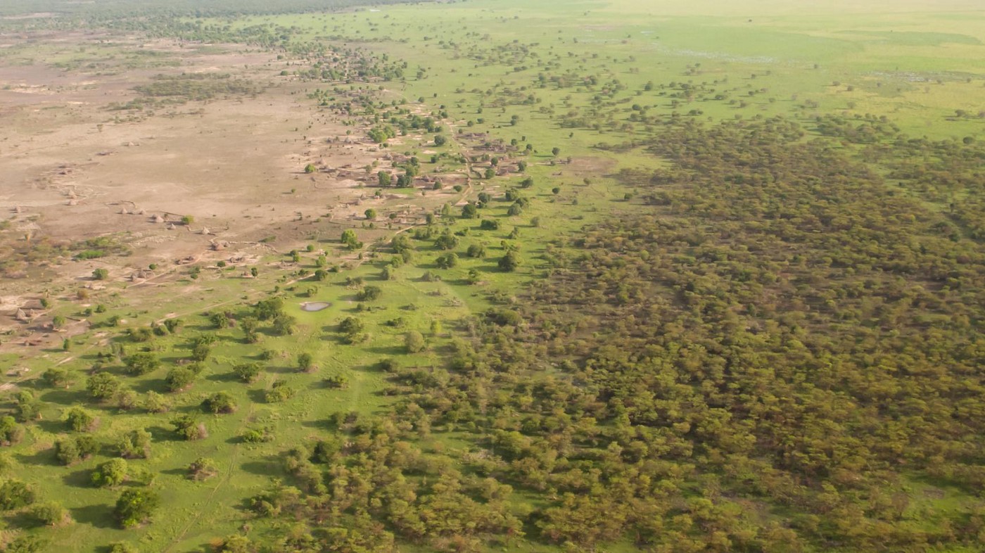 how much of africa is covered by forests and how much of africa is covered by desert
