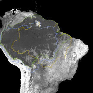 how much water flows from the amazon river scaled