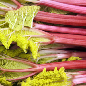 how poisonous is rhubarb pie and which other vegetables contain oxalic acid