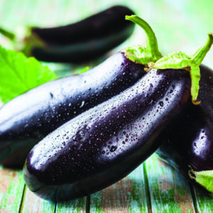 how poisonous is the nightshade family of plants like potatoes peppers eggplants and tomatoes