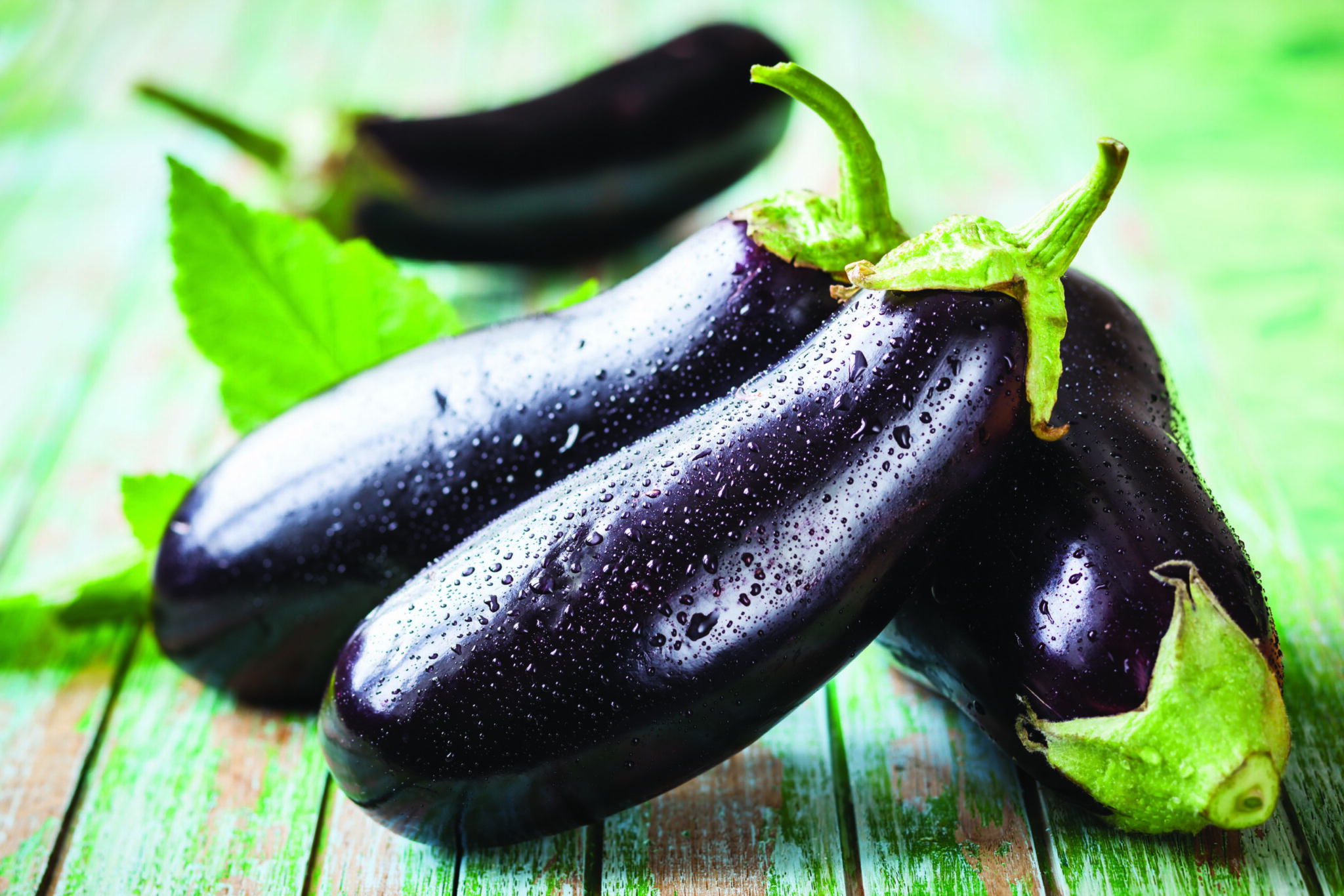 how poisonous is the nightshade family of plants like potatoes peppers eggplants and tomatoes