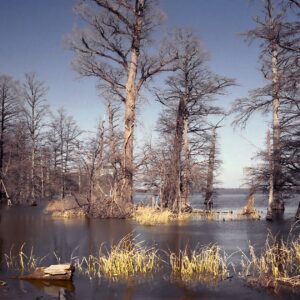 how was reelfoot lake in tennessee created by the new madrid earthquake of 1811