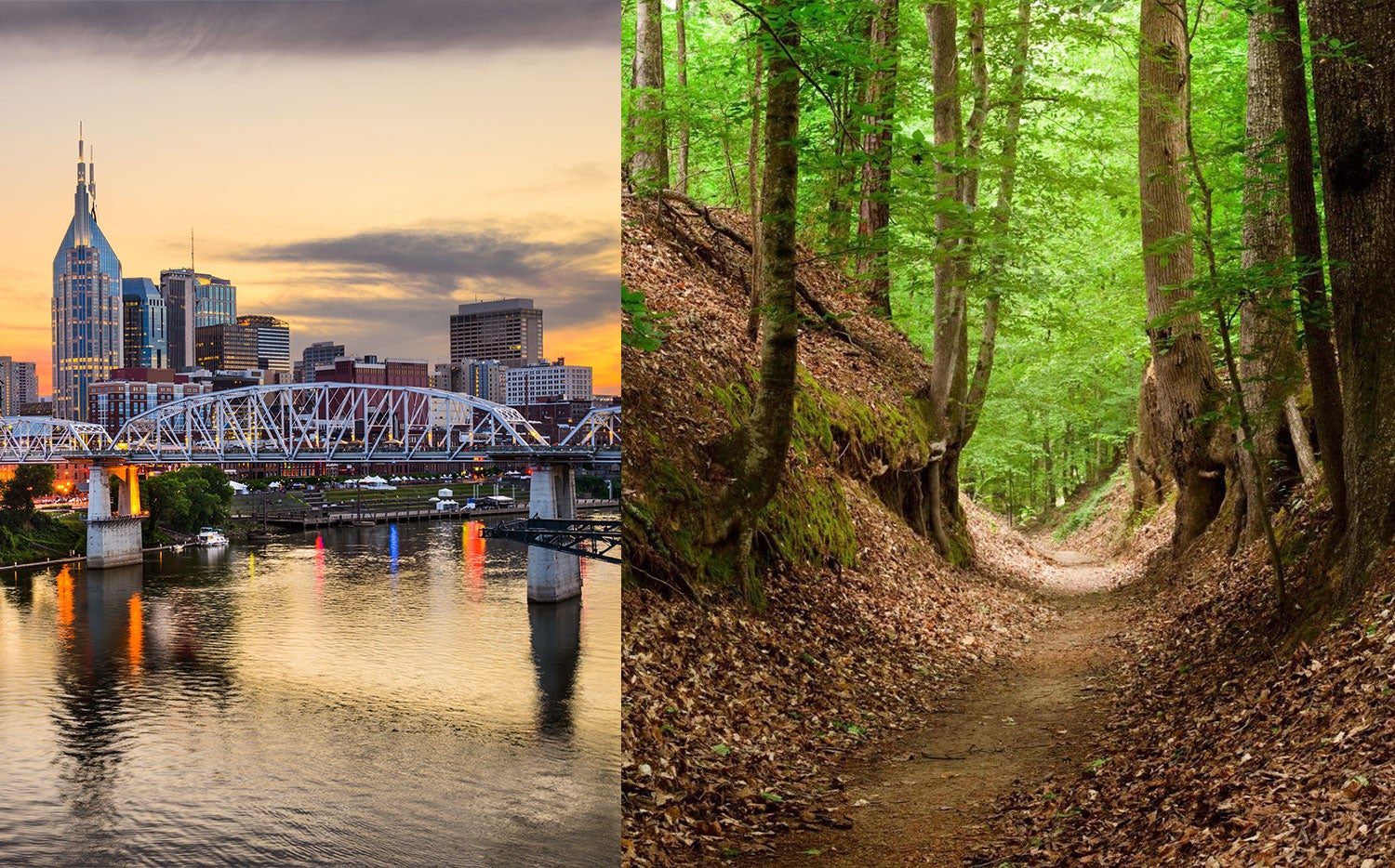 how was the natchez trace in mississippi created