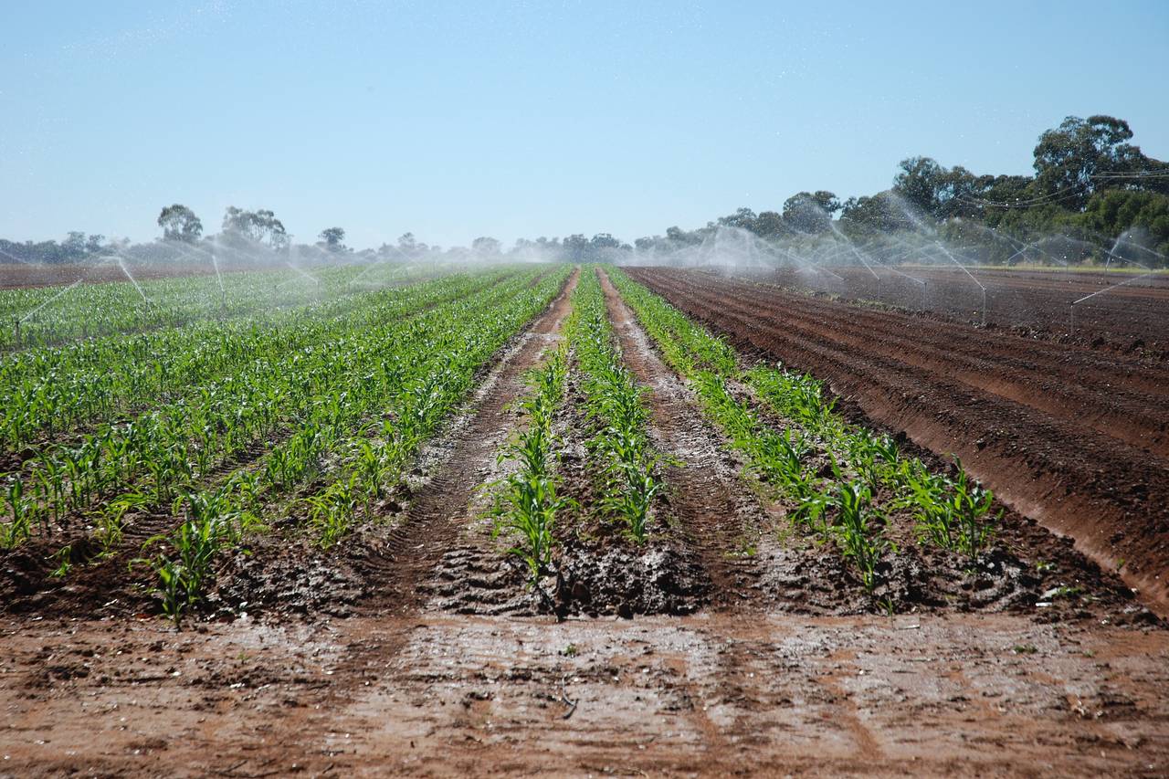 is australia the driest continent on earth