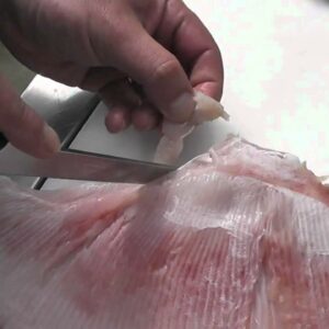 is it true that some scallops sold in fish markets are made from skate wings