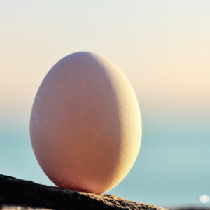 it is possible to stand an egg on its end during the vernal equinox