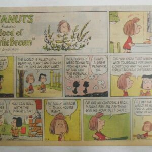 what are the names of snoopys brothers and sisters in charles schulzs peanuts comic strip