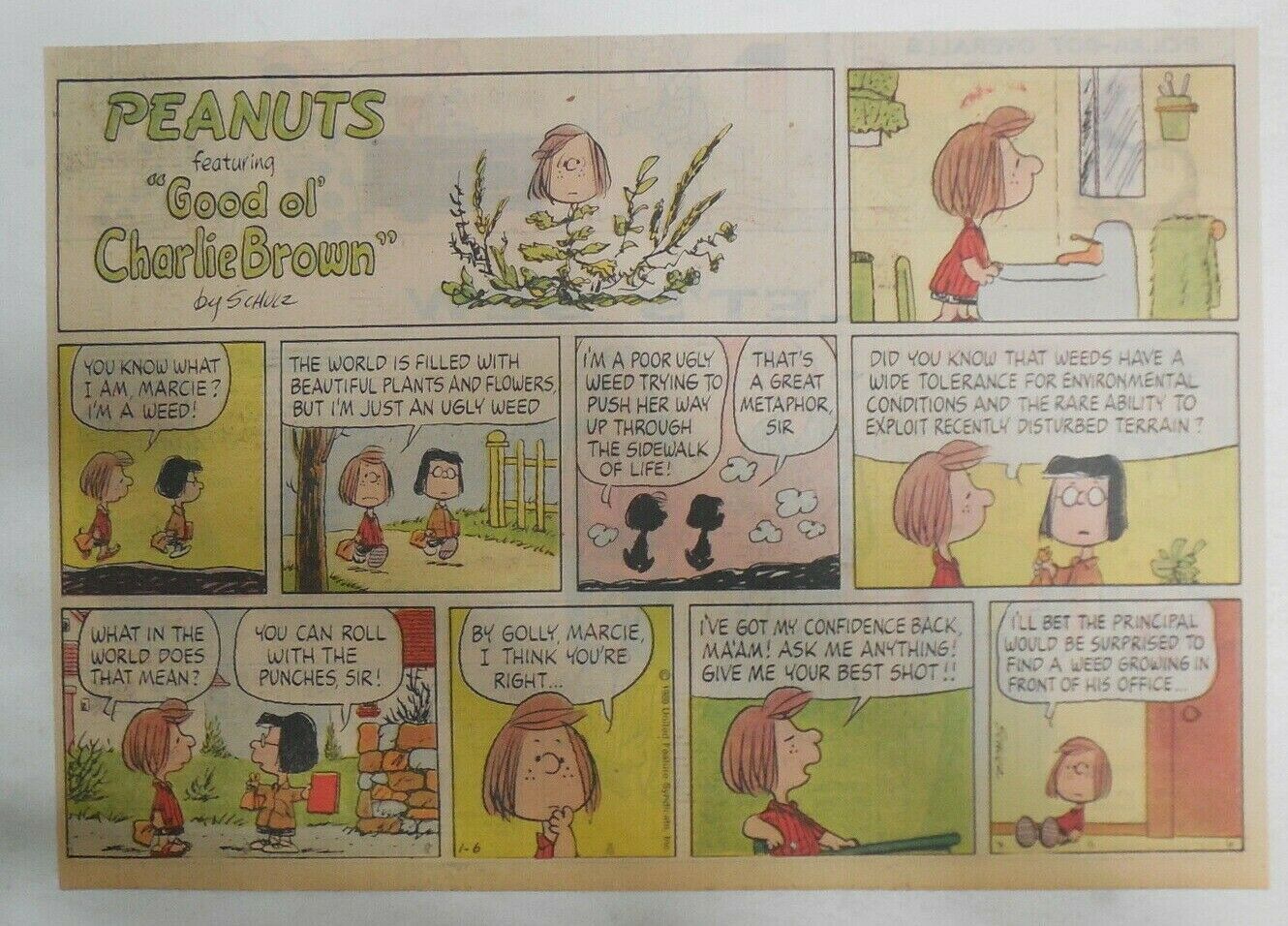 what are the names of snoopys brothers and sisters in charles schulzs peanuts comic strip