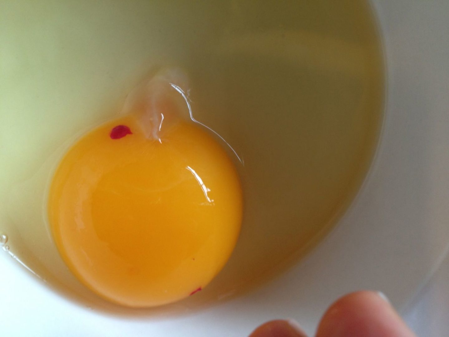 what causes blood spots in eggs and are eggs with red spots safe to eat